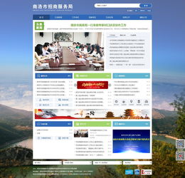 商洛市招商服务与信息化建设 一站式解决方案助力企业发展