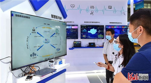 数字经济赋能河北创新发展 手机软件设计融入百姓生活的新图景