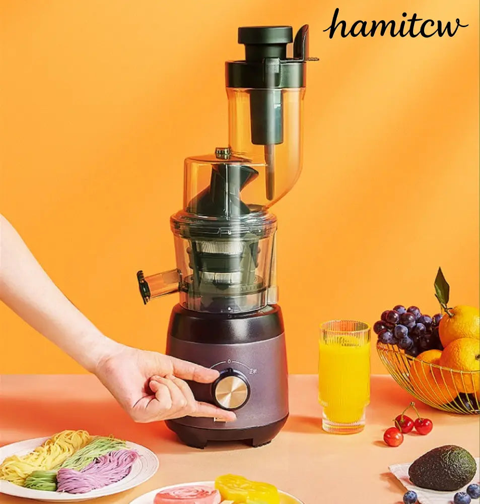 Cold Press Slow Juicer - Grey / US