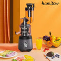 Cold Press Slow Juicer - Grey / US