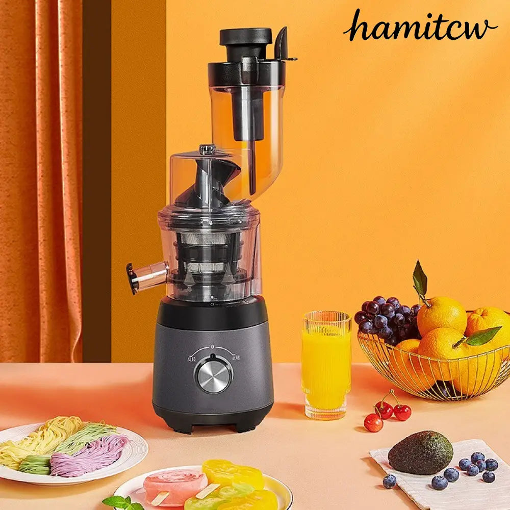Cold Press Slow Juicer - Grey / US