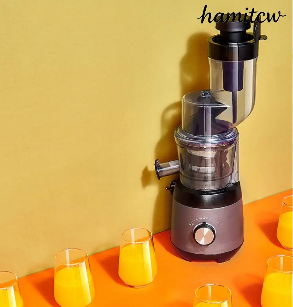 Cold Press Slow Juicer - Grey / US