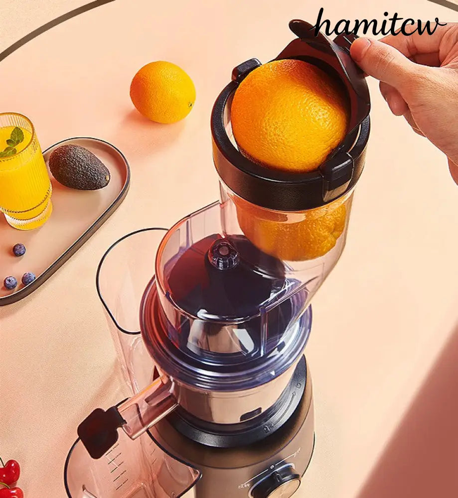Cold Press Slow Juicer - Grey / US